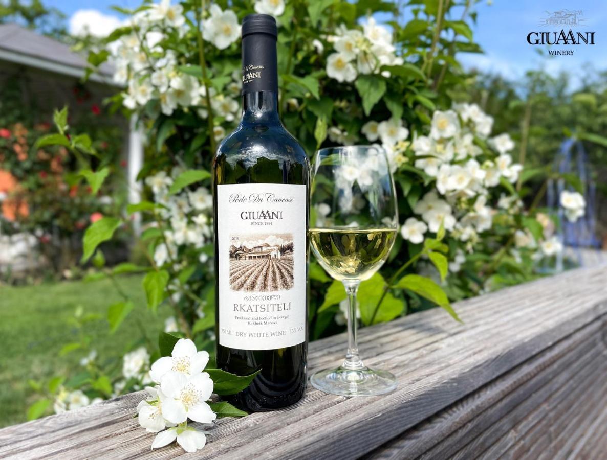 Отель Giuaani Winery Manavi Экстерьер фото