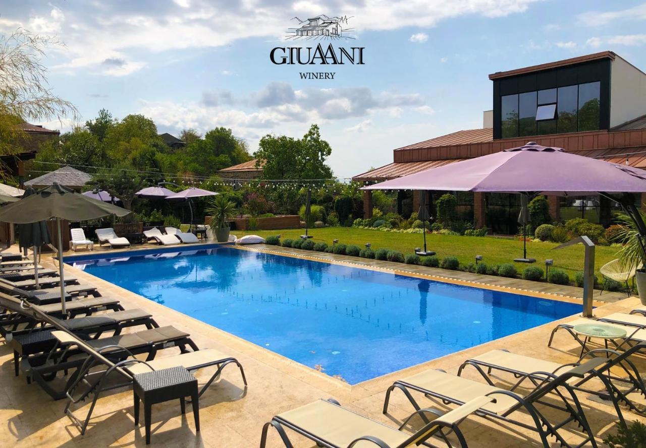 Отель Giuaani Winery Manavi Экстерьер фото